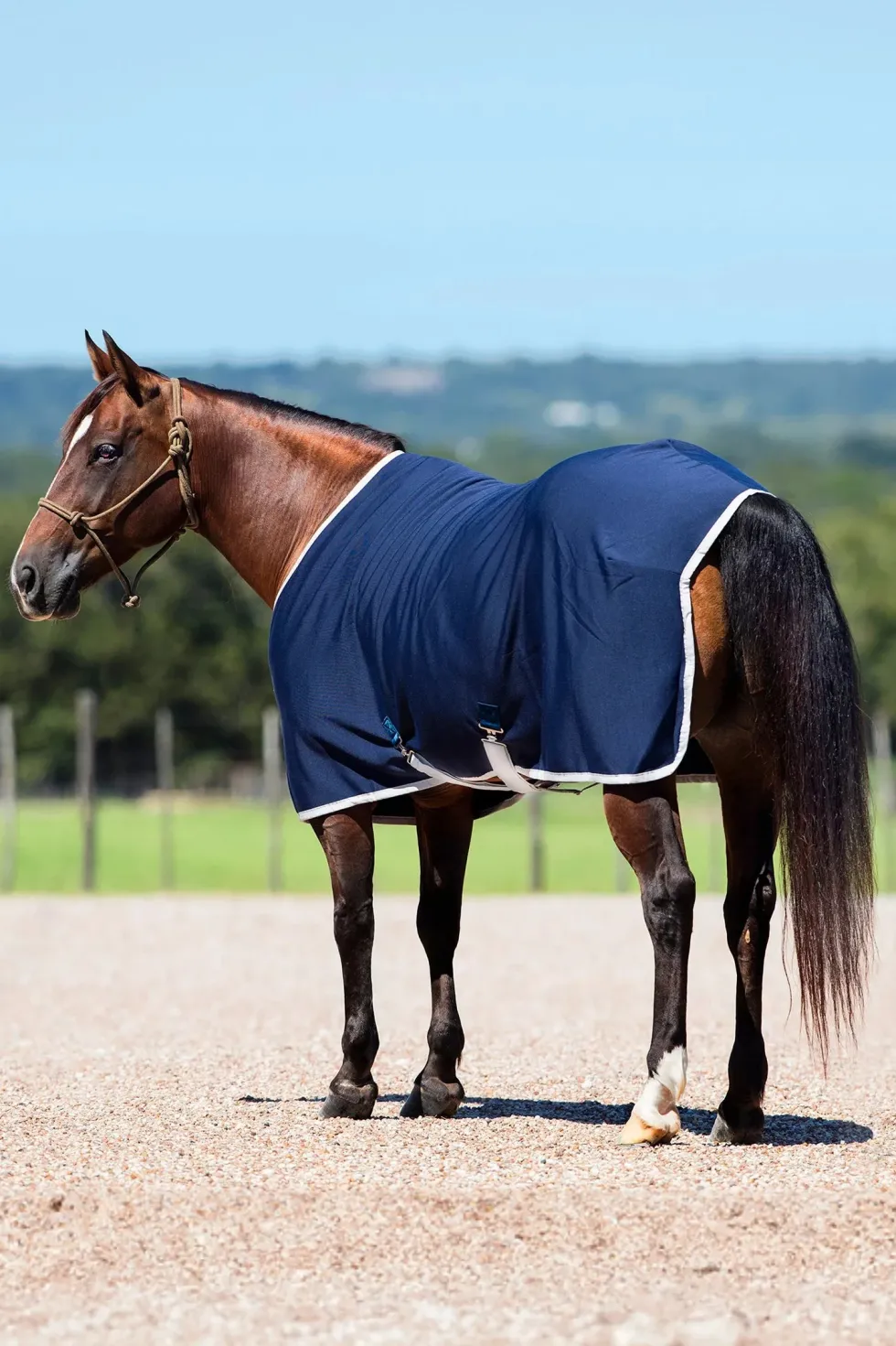 Amigo Jersey Cooler Täcke