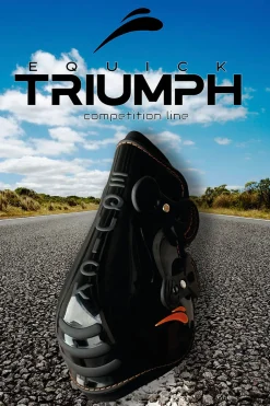Bakskydd Triumph Svart