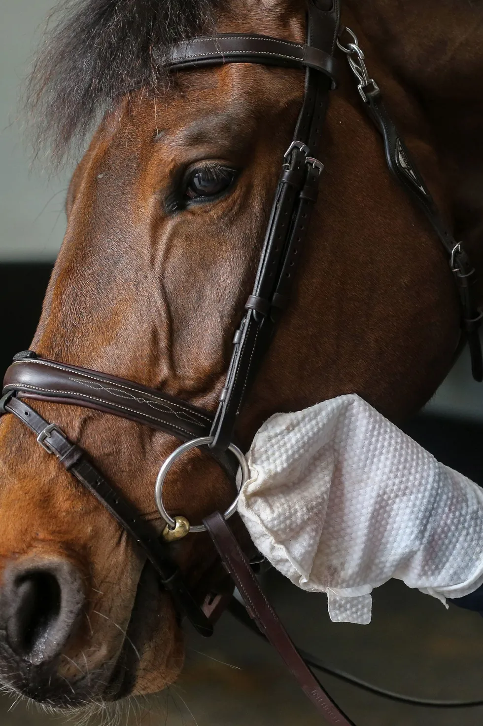Belvoir Tack Cleaner Mitt
