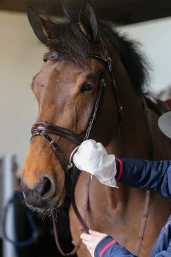 Belvoir Tack Cleaner Mitt