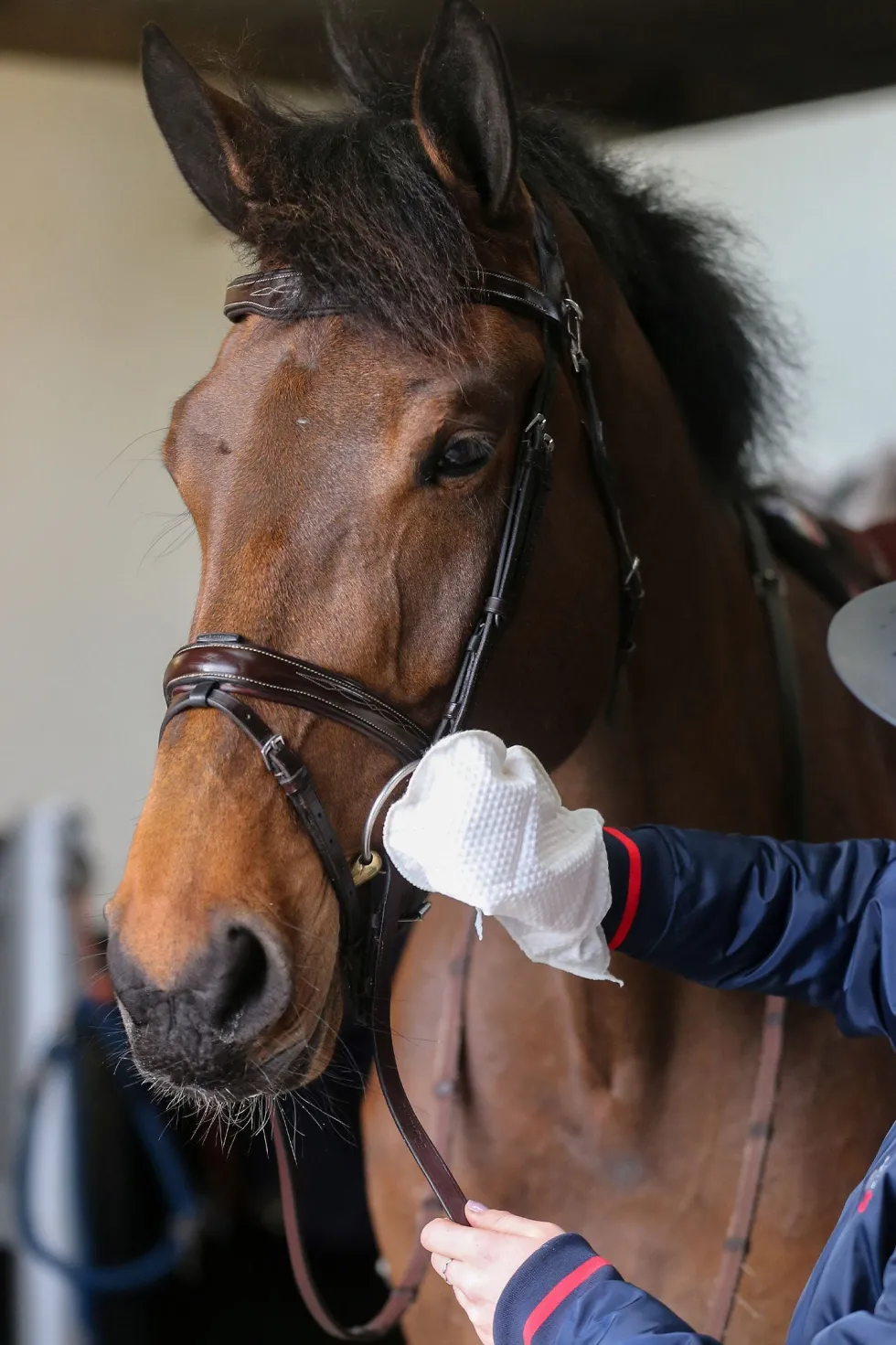 Belvoir Tack Cleaner Mitt