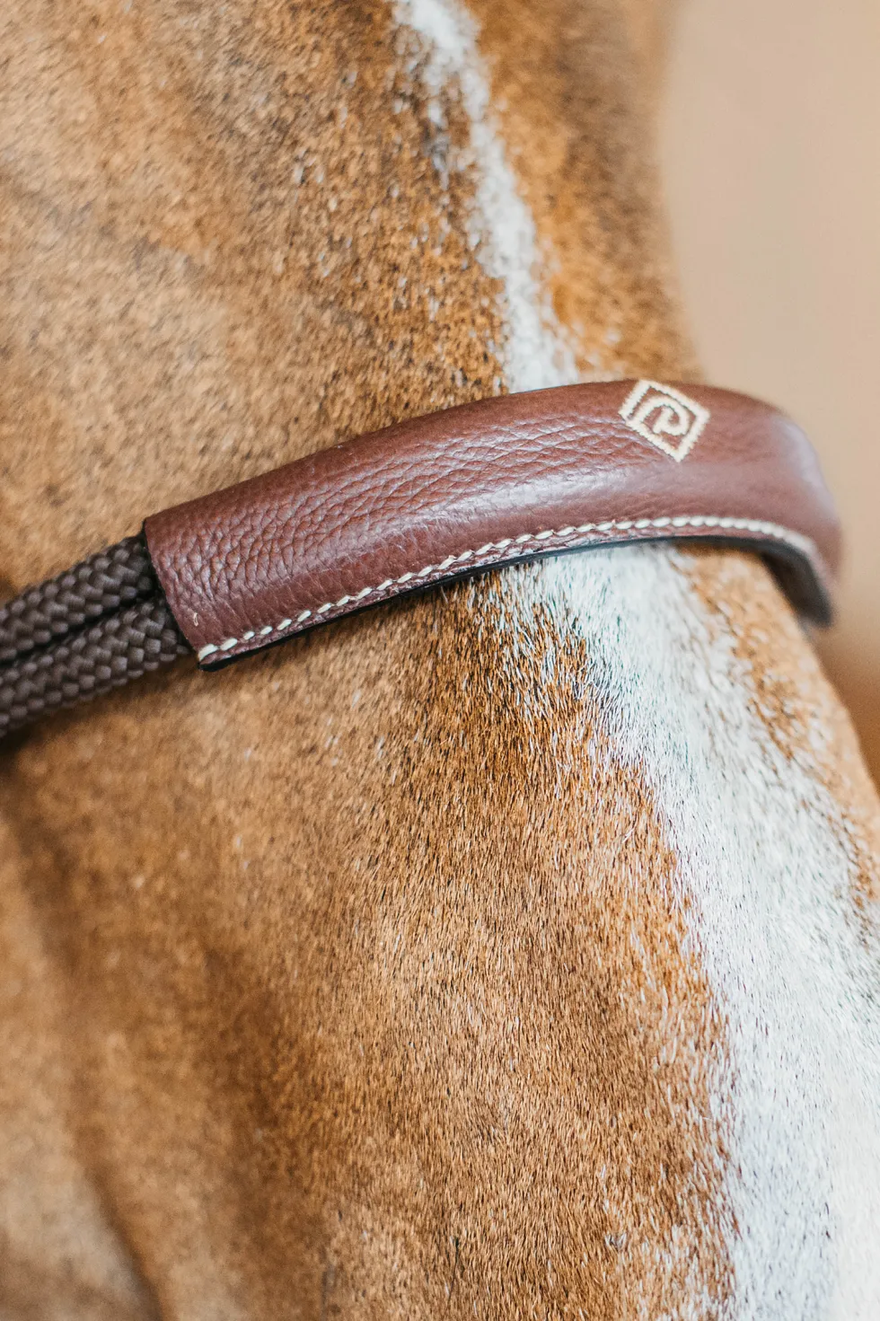 Bettlöst Träns Working Collection Brun