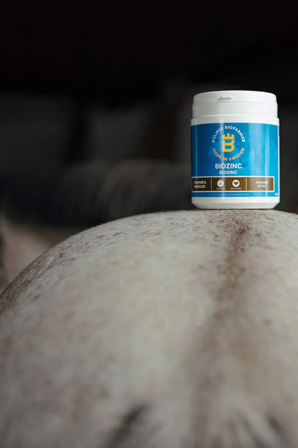 BioZinc