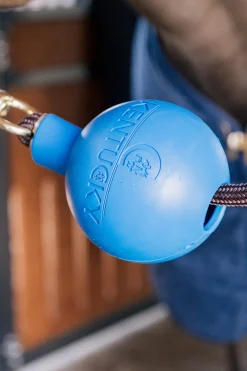 Boll Uppbindningsskydd Royal Blue