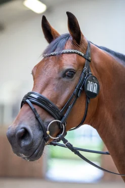 Bridle Nummerlapp