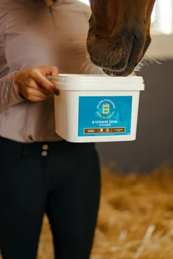 B-Vitamin Total