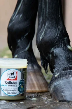 Cellsius