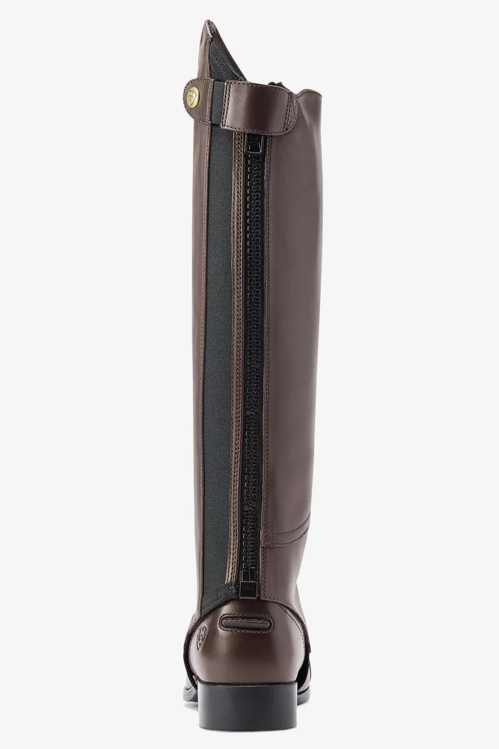 Chaps Heritage Contour Brun