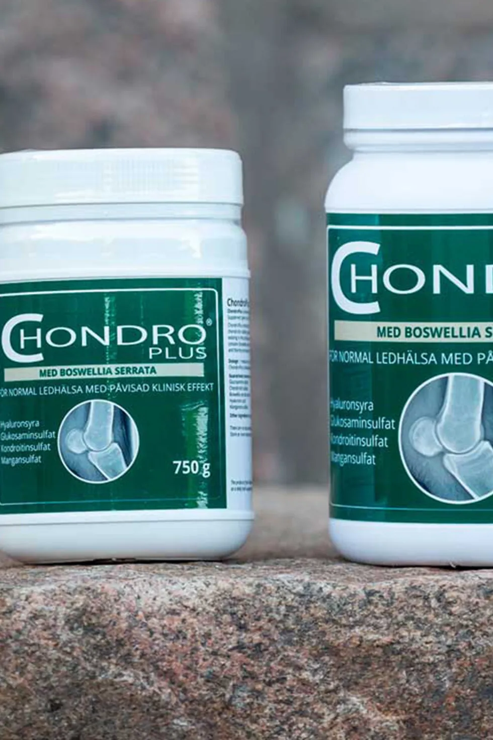 ChondroPlus 705g
