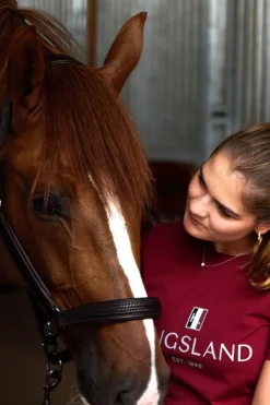 Classic T-shirt Burgundy
