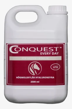Conquest Every Day 2500ml