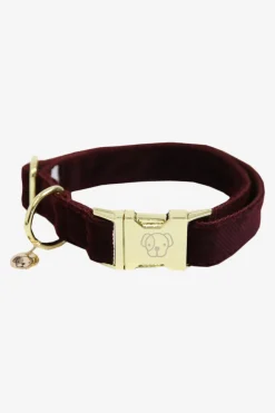 Corduroy Hundhalsband