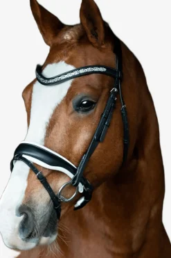 Danciero Träns
