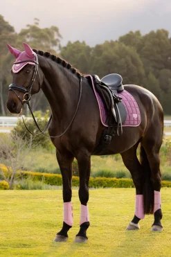 Dressyrschabrak Loire Classic Mallow