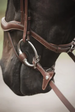 Eccelente Gummityglar med Stopp Buckle Loop Cognac