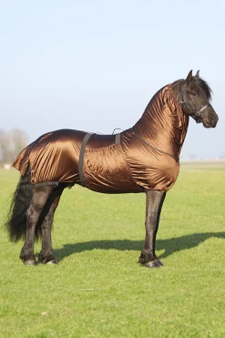 Eksemtäcke Big Neck Brun