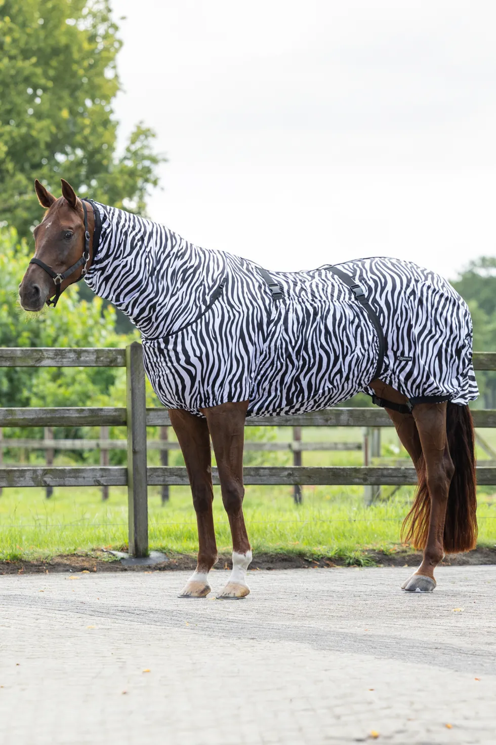 Eksemtäcke Zebra