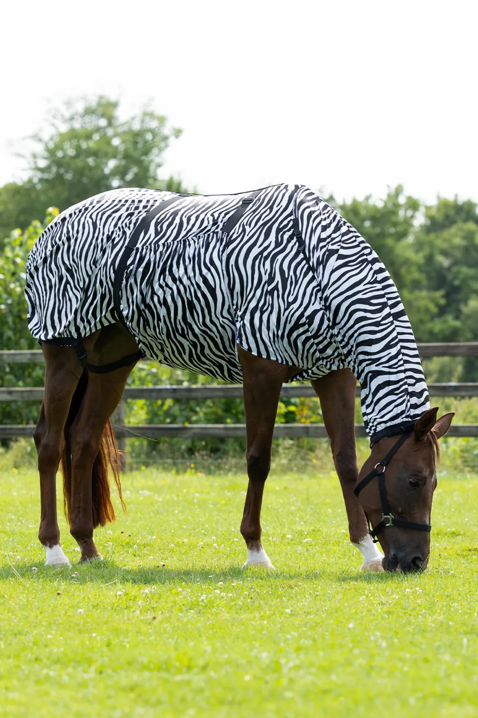 Eksemtäcke Zebra