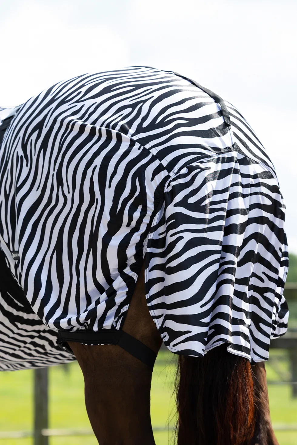 Eksemtäcke Zebra