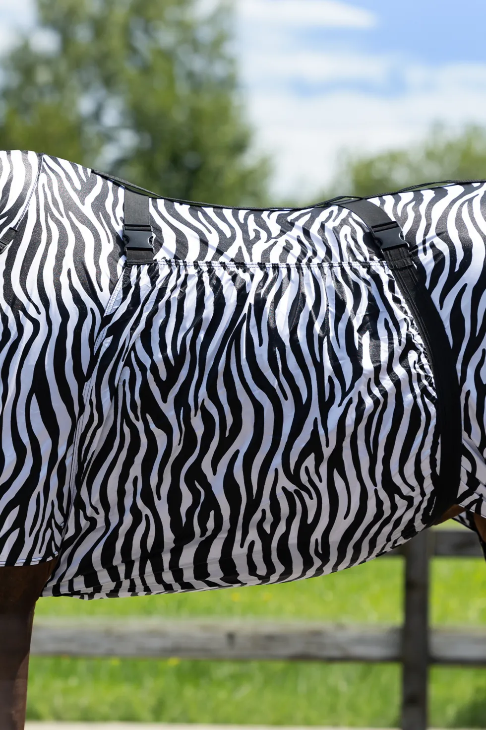 Eksemtäcke Zebra