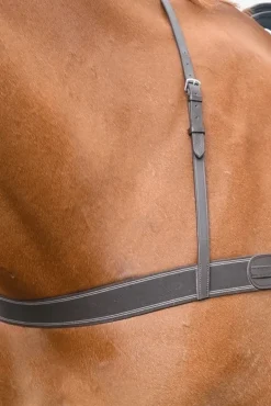 Elastiskförbygel Blenheim