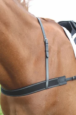 Elastisk förbygel Blenheim
