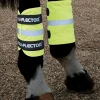 Equi-Flector Benreflexer Neon