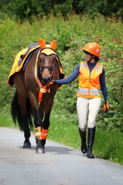 Equi-Flector Benreflexer Orange
