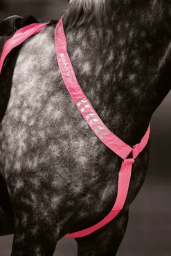 Equi-Flector Förbygel Reflex Rosa