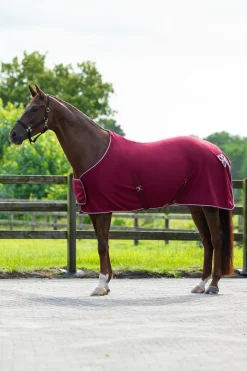 Fleecetäcke med Dekor Burgundy/silver