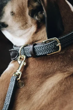 Flätat Nylon Halsband