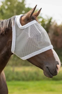 Flughuva Utan Öron Grå