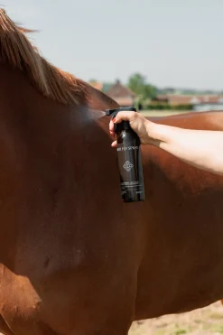 Flugspray Anti Fly 500ml