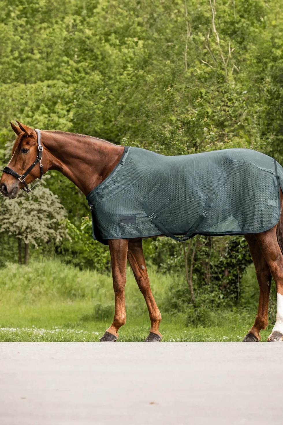 Flugtäcke Comfort med Kryssgjordar Pine Green