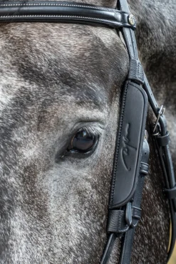 Fokus Blinkers Svart