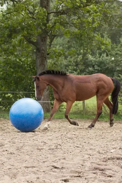 Fotboll Blå