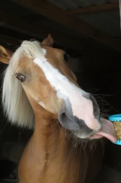 Granola Pepparmint Refill