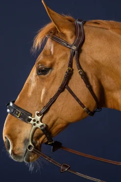Hackamore Nackstycke Dyon Collection Brun