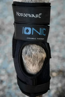 Hasskydd Ionic Svart