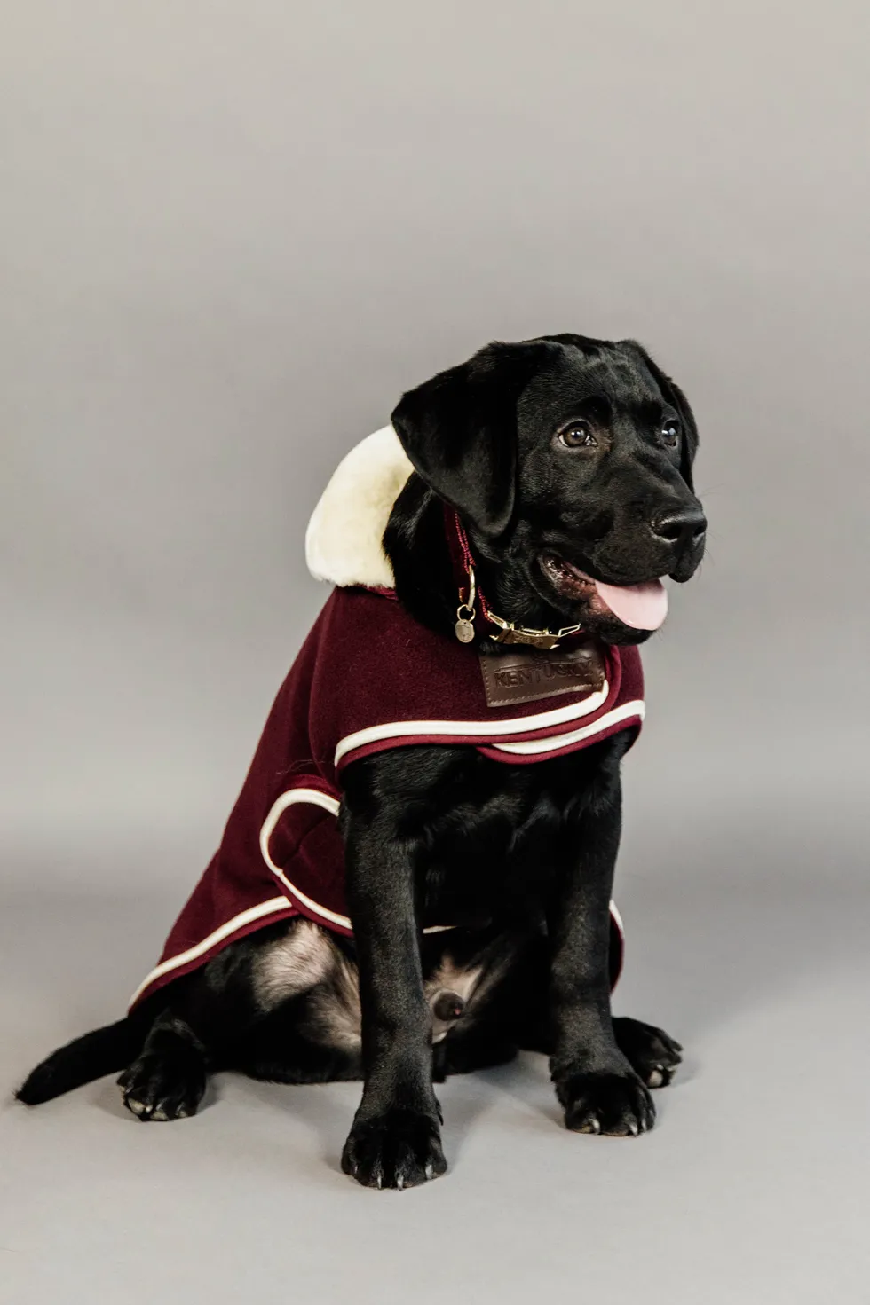 Heavy Fleece Hundtäcke
