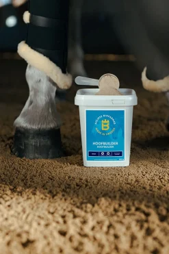 Hoofbuilder