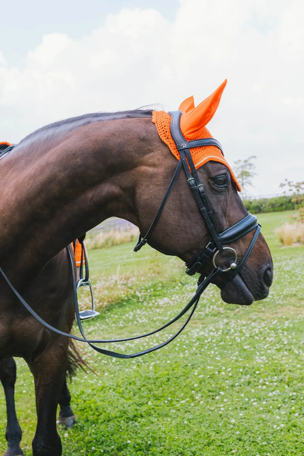 Huva Wellington Diamond Rope Orange