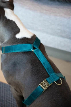Kentucky Hundsele Velvet Emerald
