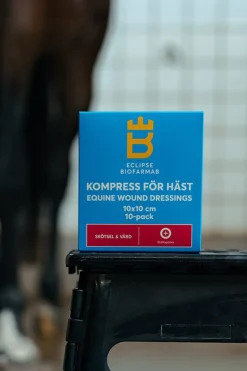 Kompress För Häst 10x10cm