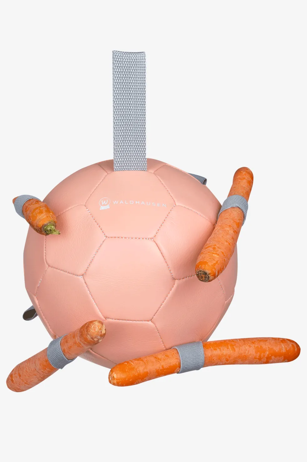 Leksak Morotsboll