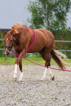 Longeringshjälp Fuchsia