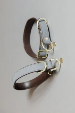 Loop Hundhalsband
