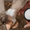 Mud Fever Creme Plus 250ml