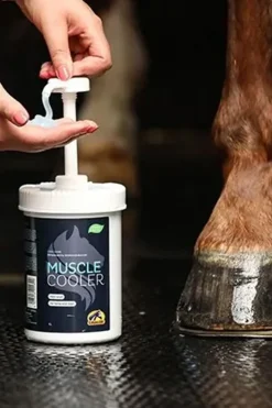 Muscle Cooler 1L