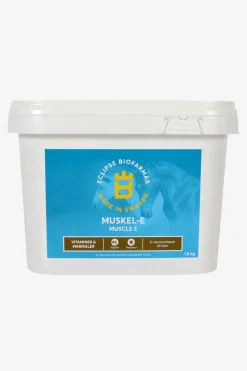 Muskel E